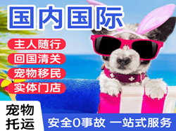 左旗巴彦浩特航空快递国际宠物托运 【国